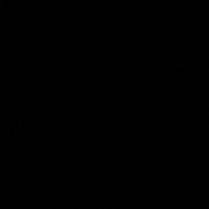 Meet your Posher, Travis